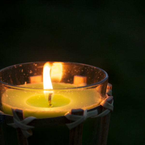 Beat the Buzz for a WaspFree Summer Read to Learn More Superior